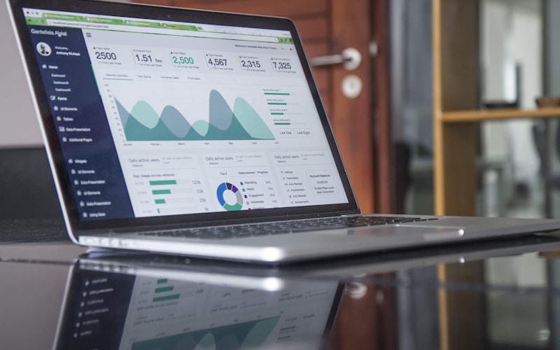 Can an SIA owner do bookkeeping themselves? The safe line between control and risk